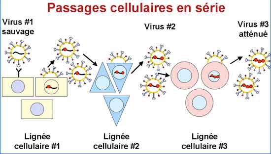 exemple de vaccin