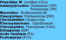 STAPHYLOCOCCUS